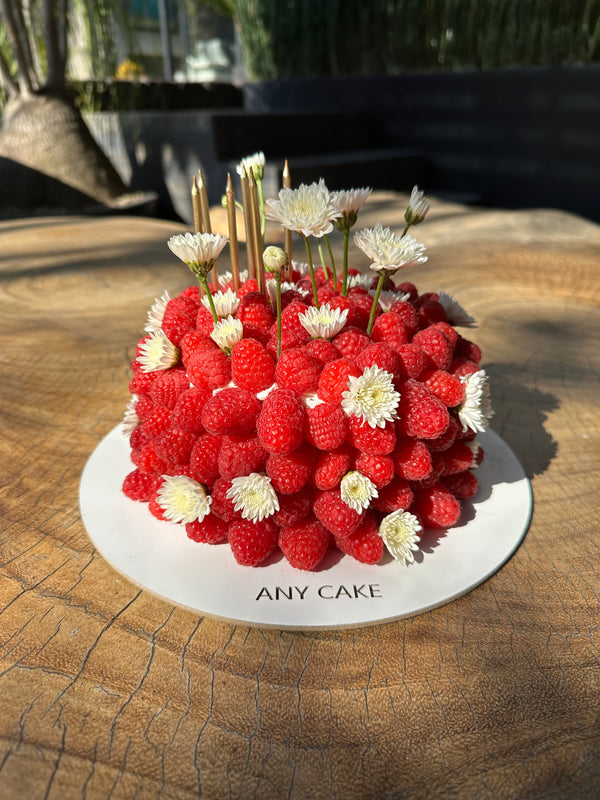 Raspberry Cake